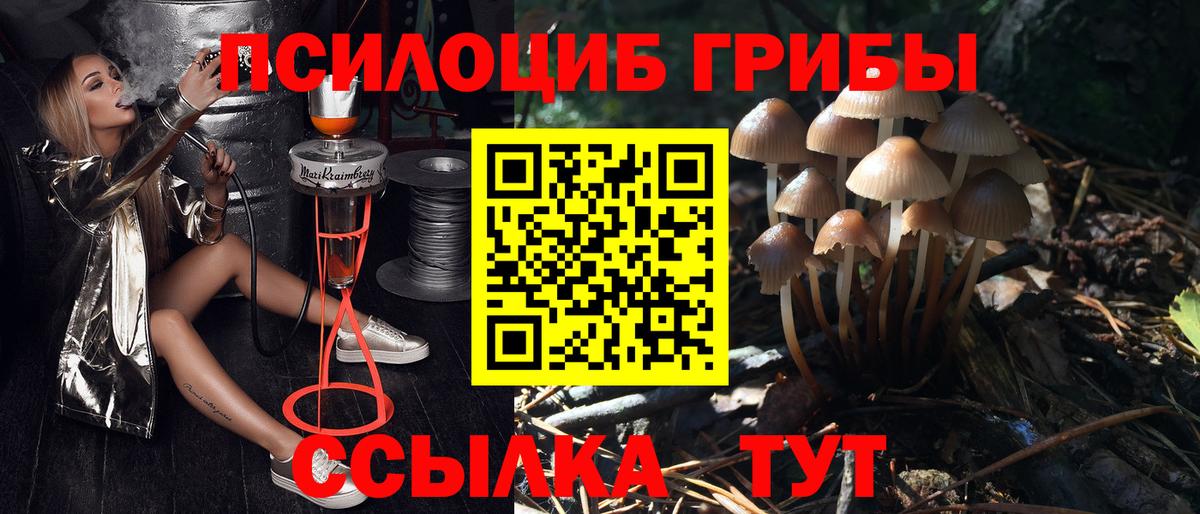 Галлюциногенные грибы MAGIC MUSHROOMS Саяногорск
